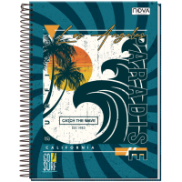 CAD.UNIV.C.D.20X1 320FLS GO SURF 1098-9 C/2